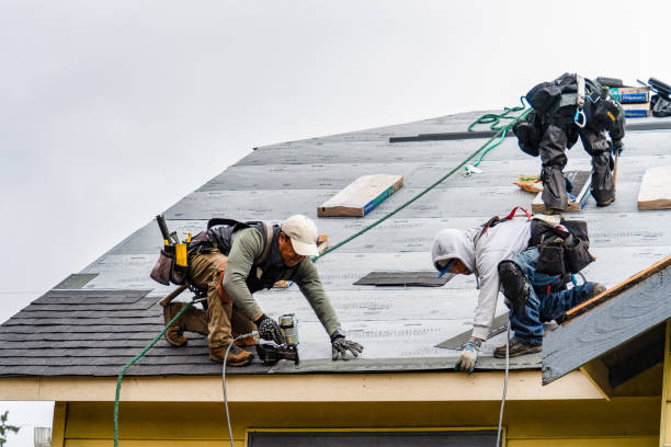 Professional Storm Damage Roof Repair technician working in Guilderland, NY